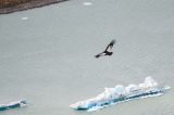 201203051524-AJS_7959.jpg